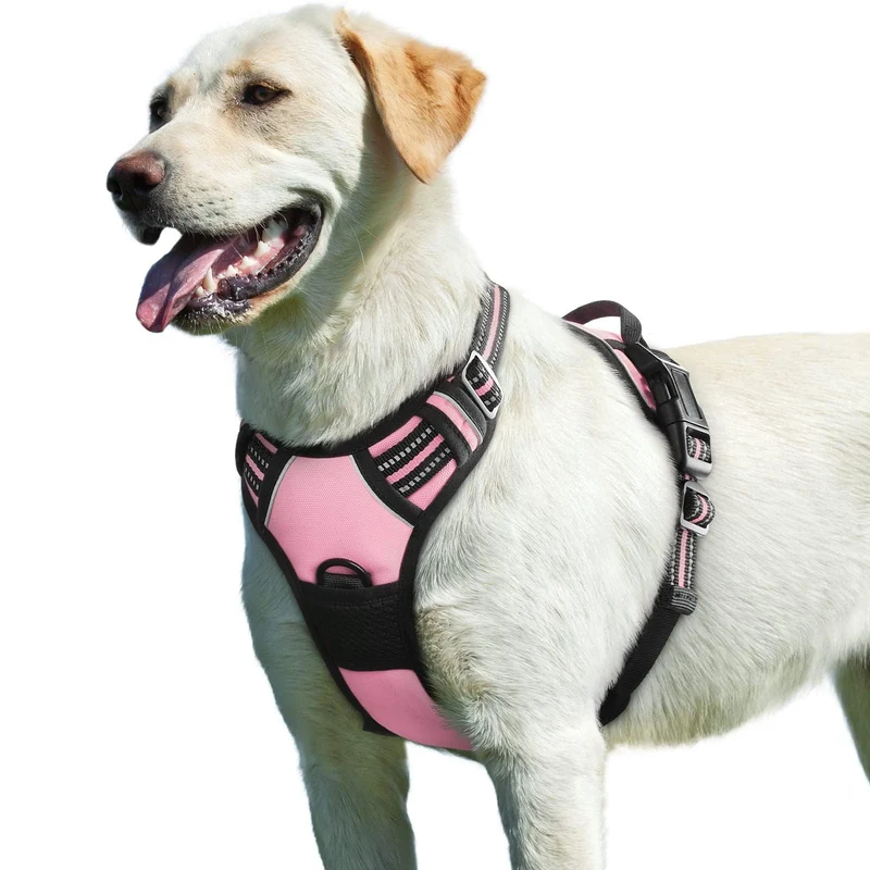Harnais Eagloo pour Grand Chien – Sans Tirage, Poignée de Contrôle, 2 Anneaux Métalliques, Réfléchissant, Rose, Taille L