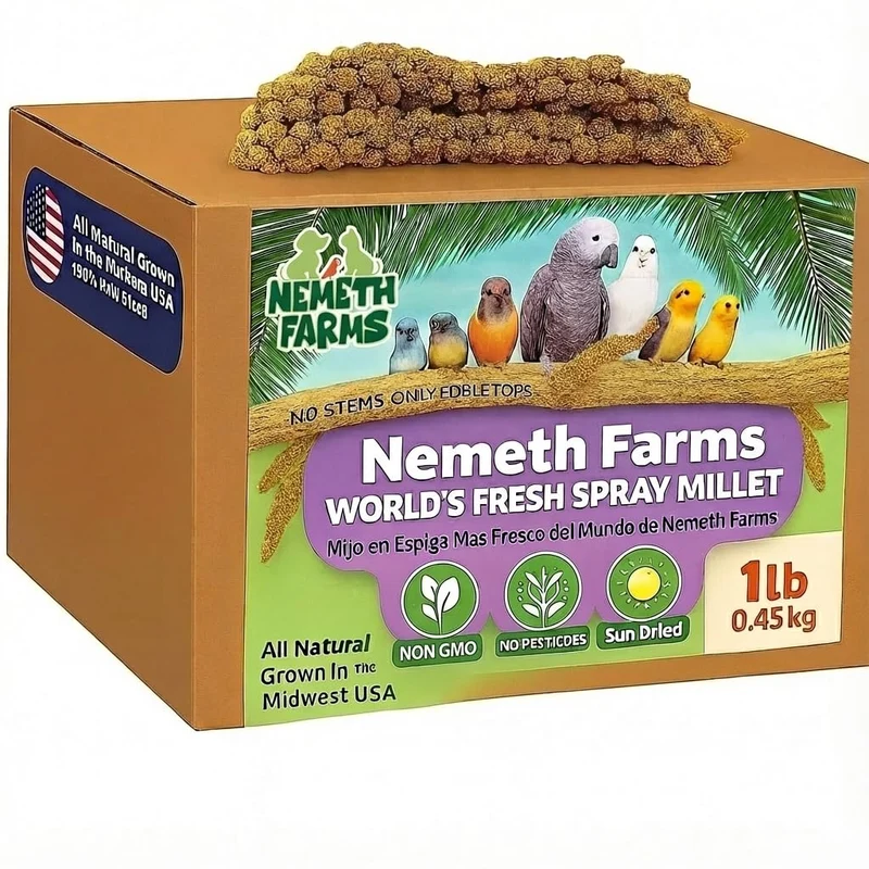 Millet en spray USA – Nemeth Farms, récolte du Midwest, 1 lb naturel et non OGM