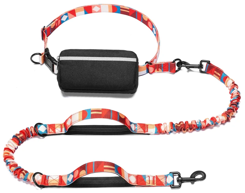 iYoShop Laisse-main libre pour chien – Poche zippée amovible, poignées doubles et bungee durable (Grand, Géométrique Coloré)