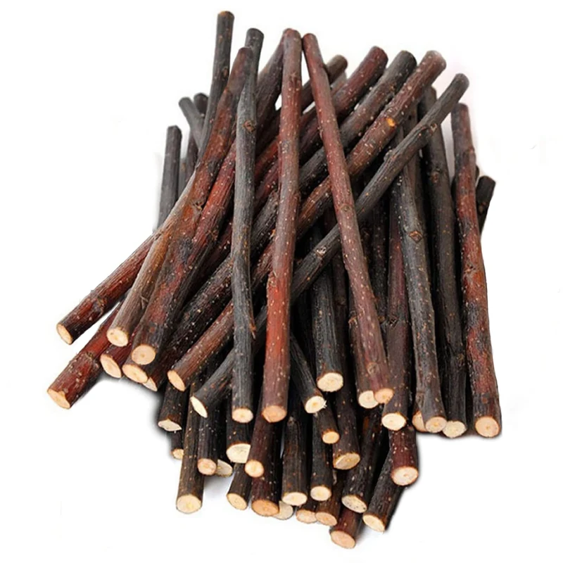 SunGrow Bâtons Pomme – Friandises à mâcher pour petits animaux (100 g)