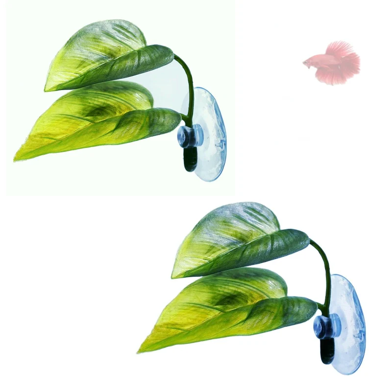 DODOAQUA - 2 pièces Feuilles Douces pour Betta, Habitat Naturel et Repos
