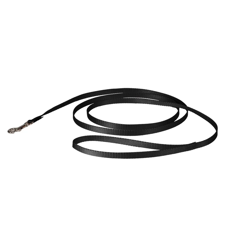 Laisse PetSafe en nylon – Entraînement fiable pour chien et chat, poignée rembourrée, 3/8 x 6 pieds, noir
