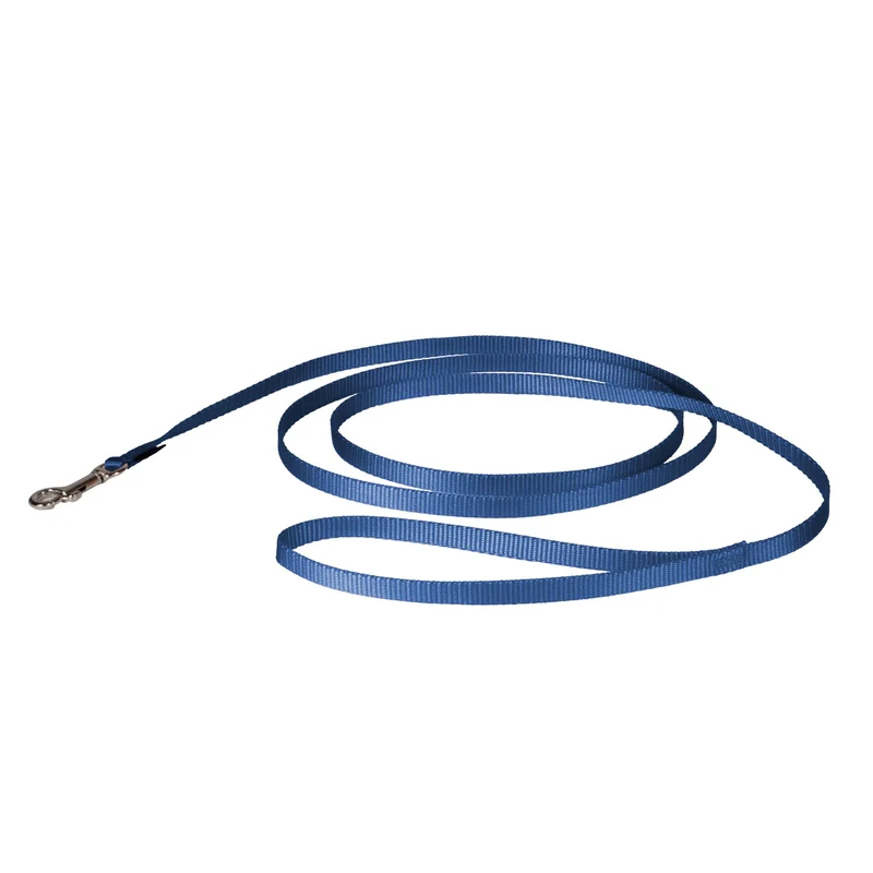 PetSafe Laisse en Nylon – Laisse pour chien robuste et légère, attache rapide, 3/8 de pouce, 6 pieds, bleu