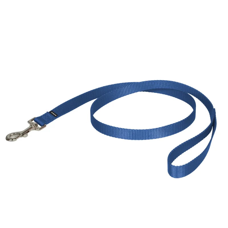 PetSafe Laisse Nylon pour Chien — 4 Pieds, Bleu Royal, Mousqueton Rapide et Poignée Confortable