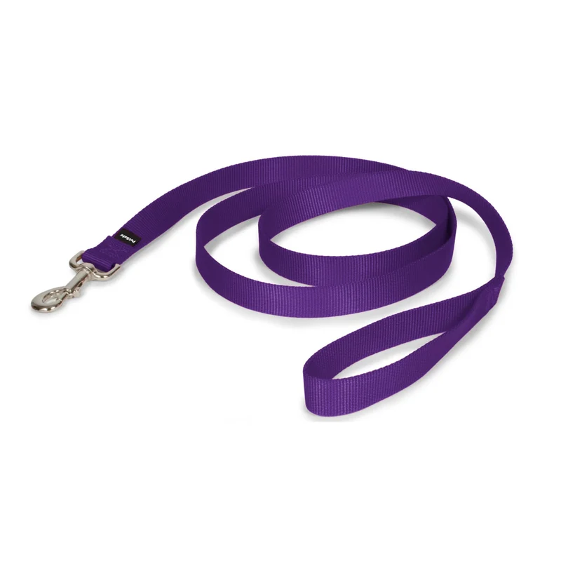 PetSafe Longe en Nylon – Lien sûr lors des promenades, Attache Facile, 1 pouce x 6 pieds – Violet profond
