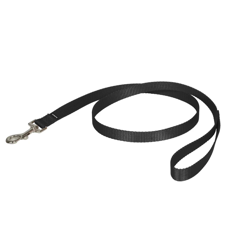 PetSafe Laisse Nylon – Résistante aux morsures pour Chien et Chat – Compatible Harnais Easy Walk – 3/4 po x 4 pi – Noir