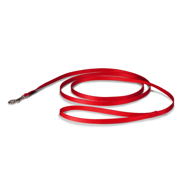 Laisse pour chien PetSafe en nylon 3/8 po sur 6 pi – Rouge, robuste et facile à attacher