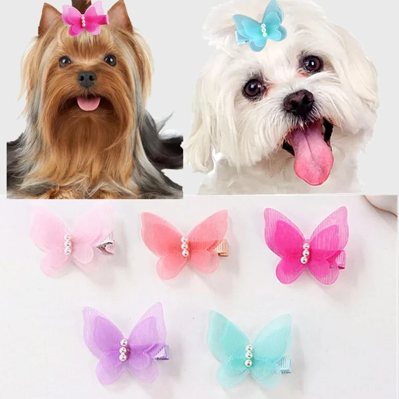 10 pièces d’accessoires pour poils d’animaux – Broches papillon perlées pour chiens et chats | Cuchenhuan