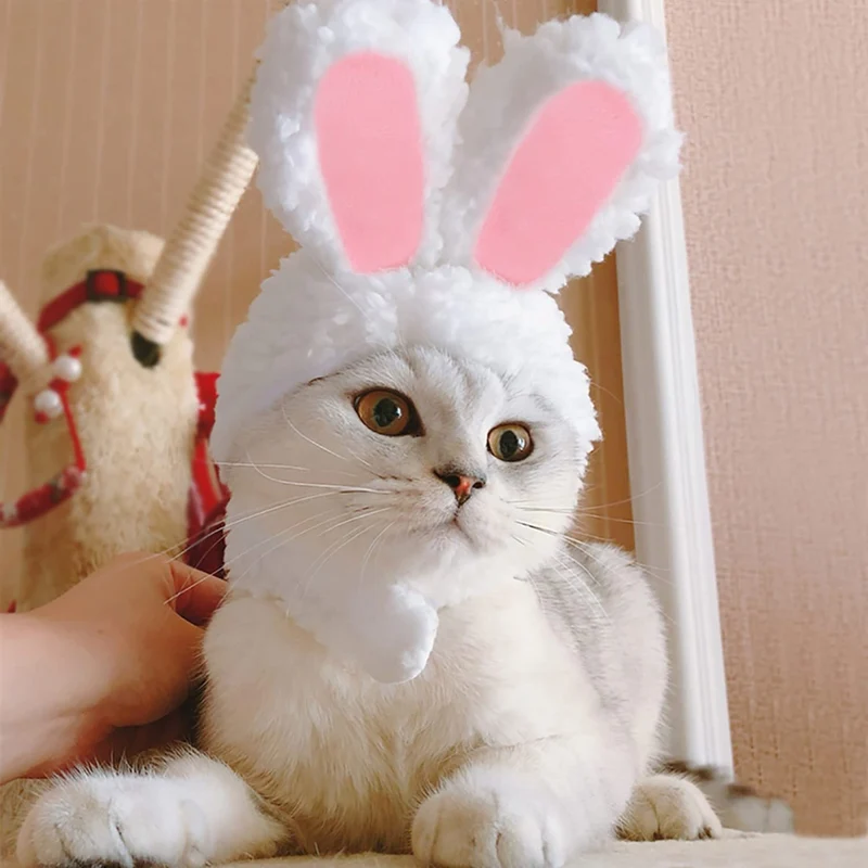 YUJUN Chapeau Lapin Pâques pour Chat et Petit Chien – Costume Animaux Doux