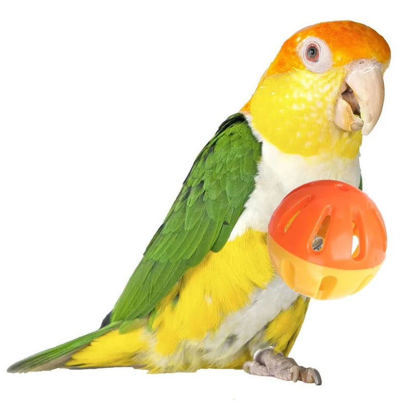 Super Bird Creations SB1055 Boules Birdie – Jouet patte moyen pour oiseau, diamètre 2 pouces, lot de 4