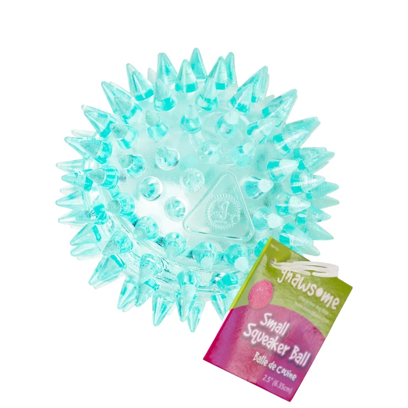 Gnawsome Balle Sifflet Épineuse 2,5 pouces – Santé Dentaire et Jeu Stimulant pour Petits Chiens