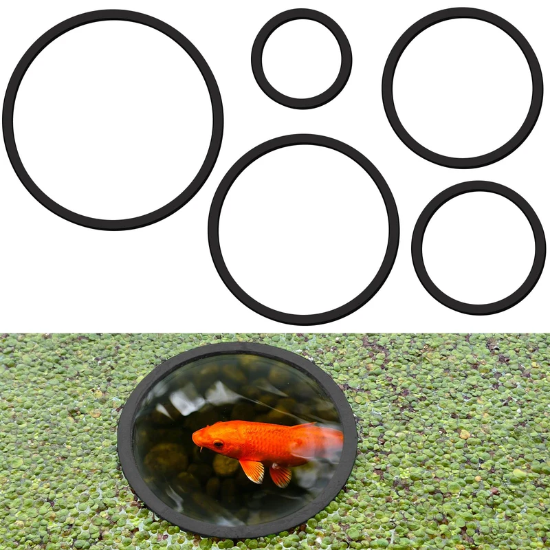 SANJHFF 5 Pcs Anneaux Flottants pour Plantes – 5 Tailles, Pour Aquarium