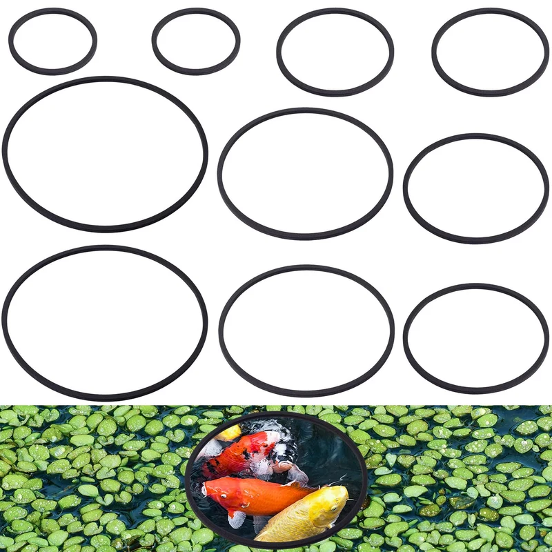 PAGOW - Ensemble de 10 Anneaux d’Alimentation Poissons Noir | Anneaux Flottants pour Aquarium