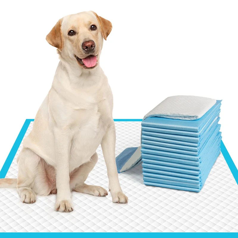IMMCUTE Tapis Pipi Chien Grand 28x30 – Paquet de 50, Ultra Absorbants & Anti-Fuite