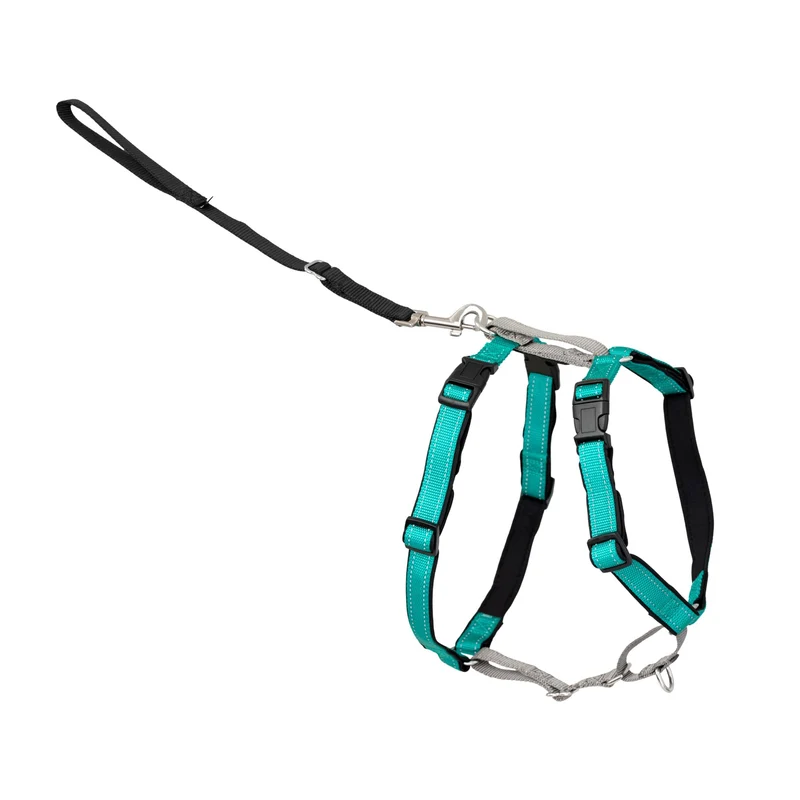Harnais PetSafe 3 en 1 – Harnais thoracique confortable et facile pour chien, attache avant pour réduire les tirages - Équipement d’obéissance canin - Grand – Bleu-vert