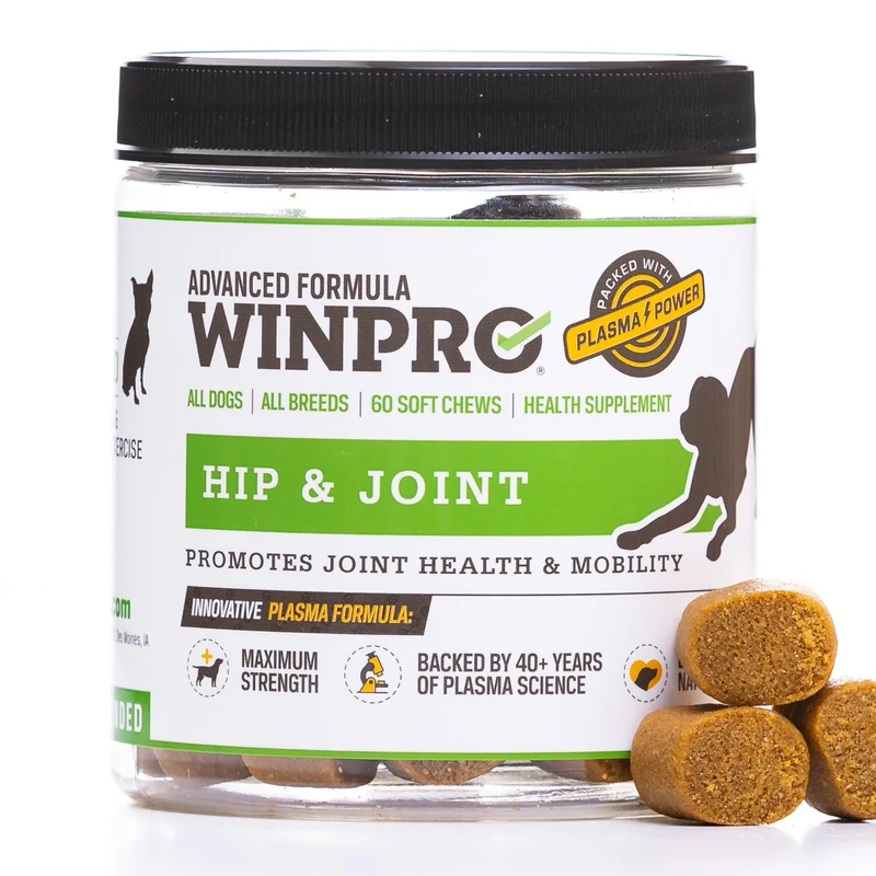 WINPRO Supplément Hanches et Articulations pour Chiens – Bouchées Molles Plasma, Mobilité – 60 Bouchées