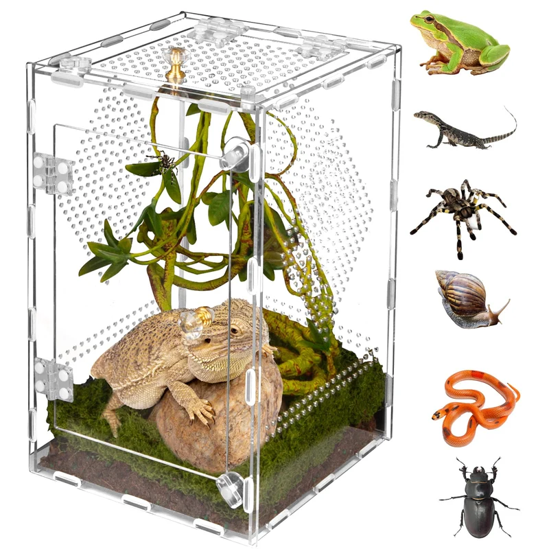 Terrarium Reptile Acrylique Orekemo – Assemblage Facile, 360° Clair, Sécurité et Ventilation (30 x 20 x 20 cm)