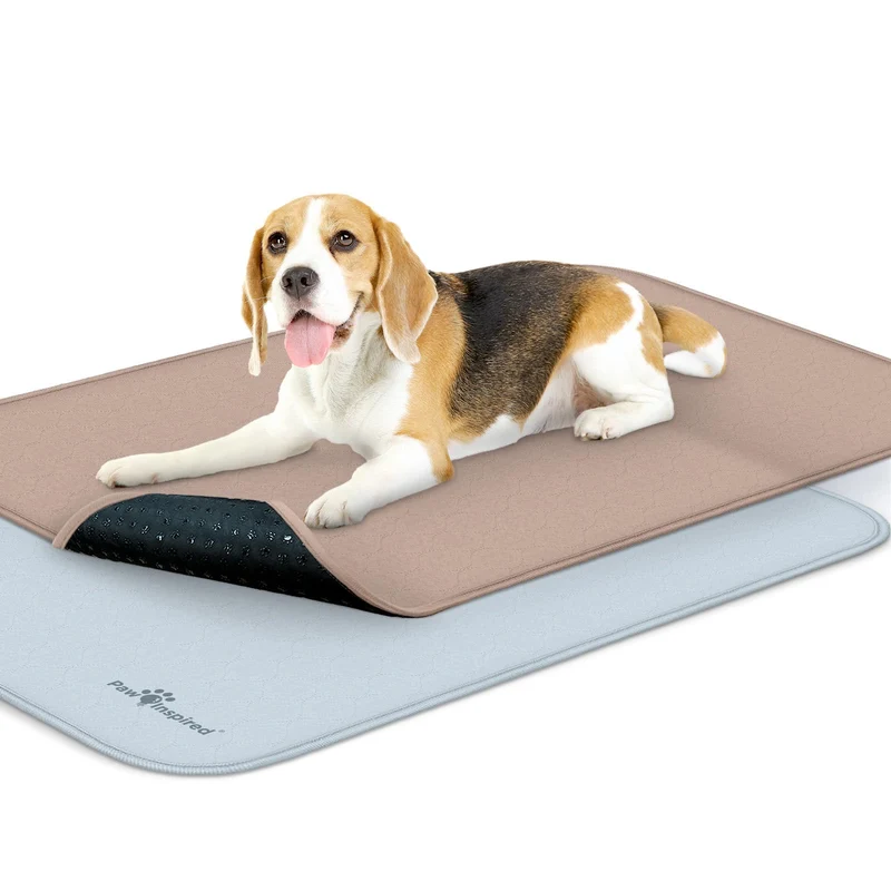 Paw Inspired: Tapis Lavables pour Caisse de Chien (2 Pack), Étanches et Antidérapants — 35 x 22 pouces