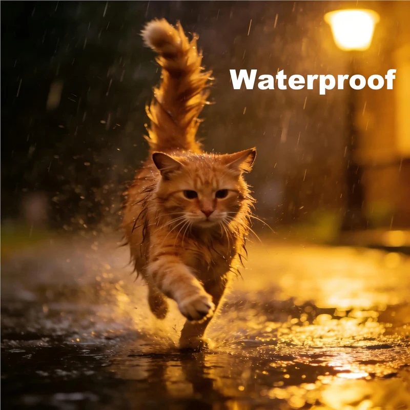 Fipukin Collier Anti-Puces pour Chats – Protection 8 Mois, Imperméable | Kit Peigne & Outil Retrait Tiques