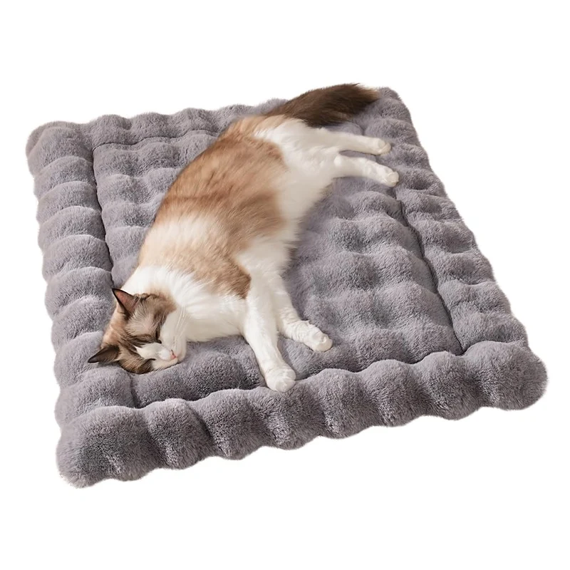 SOMAHE Tapis pour Chat – Doux, Lavable au lave-linge et Anti-Glisse (23x15 pouces) Gris