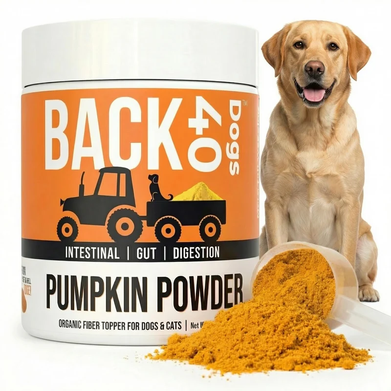 Back 40 Dogs Poudre de Citrouille pour Chiens – Fibre & Digestion, 8,1 oz, Fabriqué aux États-Unis