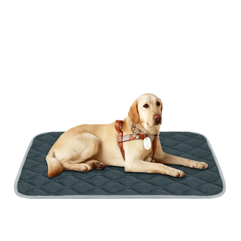furrybaby Tapis de caisse chien anti-derrapant et lavable (L 42x28 pouces) – Gris