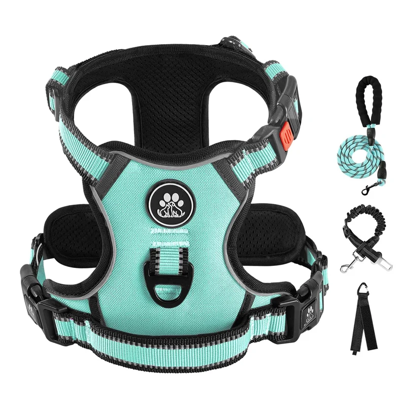 IVY&LANE Harnais Chien Sans Tirage avec Laisse - Réfléchissant, Ajustable (Turquoise, M)