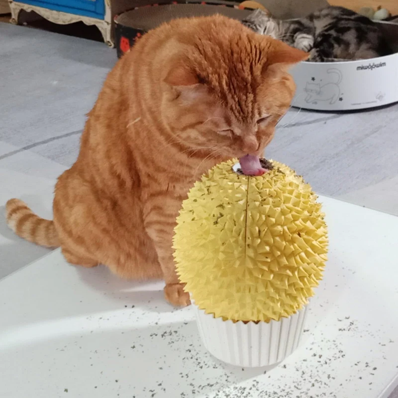 Miwoowim Alimentateur de Cataire et Jouet d’Auto-Toilettage – Grattoir Visage et Massage Murale pour Chats d’Intérieur (Jaune)