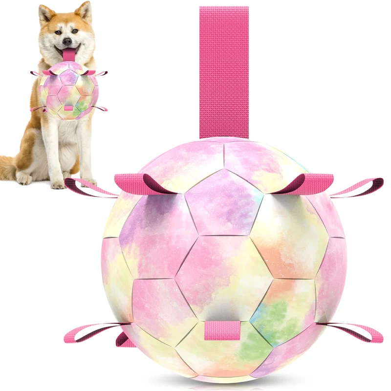 QDAN Balles pour Chien Arc-en-Ciel 8 Pouces – Ballon de Football Canin avec Sangles, Jouet Interactif