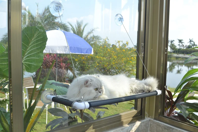 PEFUNY Hamac de Fenêtre pour Chats – Ventouse Géante, Étanche et Confortable