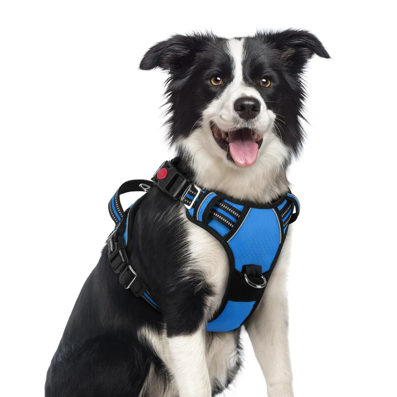 Harnais Rabbitgoo pour Chien Moyen – Sans Tirage, 3 Boucles, Rembourrage Doux, Poignée et Réflecteurs – Bleu, Taille M