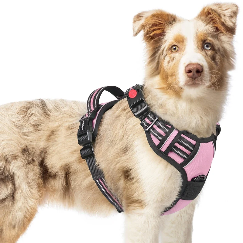 rabbitgoo Harnais pour chien moyen sans tirage – 3 boucles, rembourré, poignée de contrôle, réfléchissant rose M