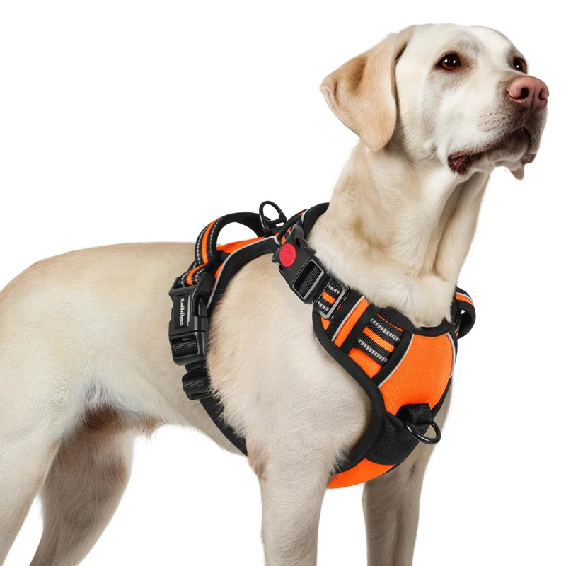 rabbitgoo Harnais Chien Grand Sans Tirage — 3 Boucles, Poignée, Réfléchissant, Orange, Taille L