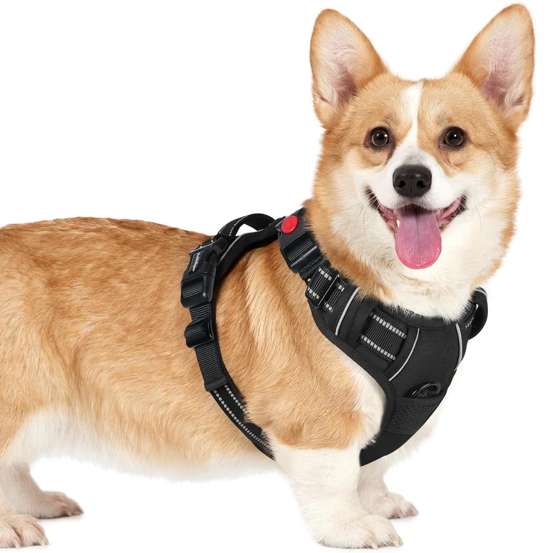 rabbitgoo Harnais pour chien petit — sans tirage, 3 boucles, rembourré, poignée de contrôle, réflectif, noir, taille S