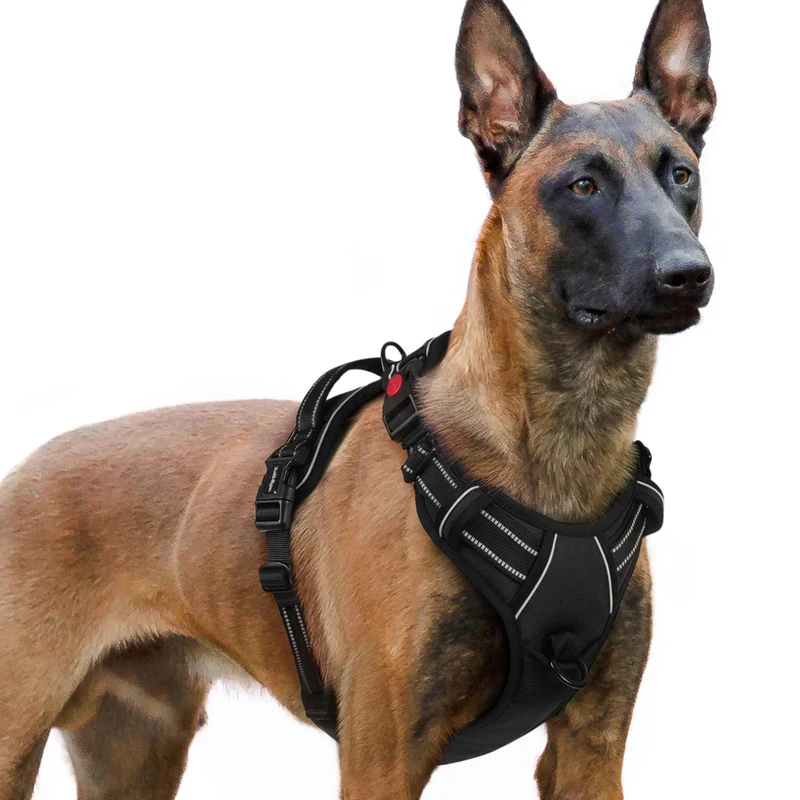 Rabbitgoo Harnais Chien Grand Sans Tir – 3 Boucles, Rembourrage Doux, Poignee et Visibilité Réfléchissante, XL