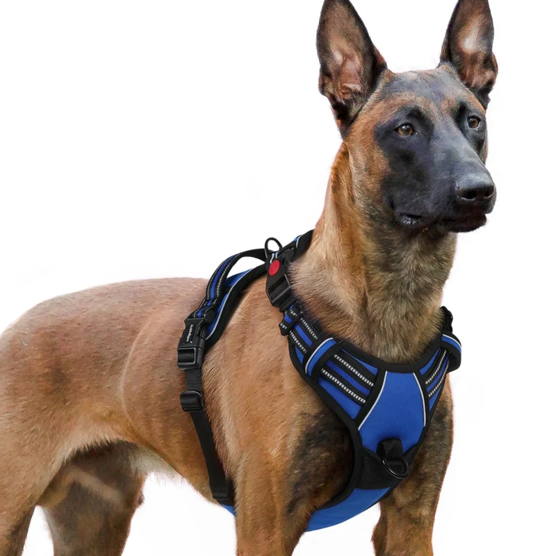 rabbitgoo Harnais pour chien grande taille sans tirage — 3 boucles, gilet rembourré et poignée de contrôle, réfléchissant bleu XL