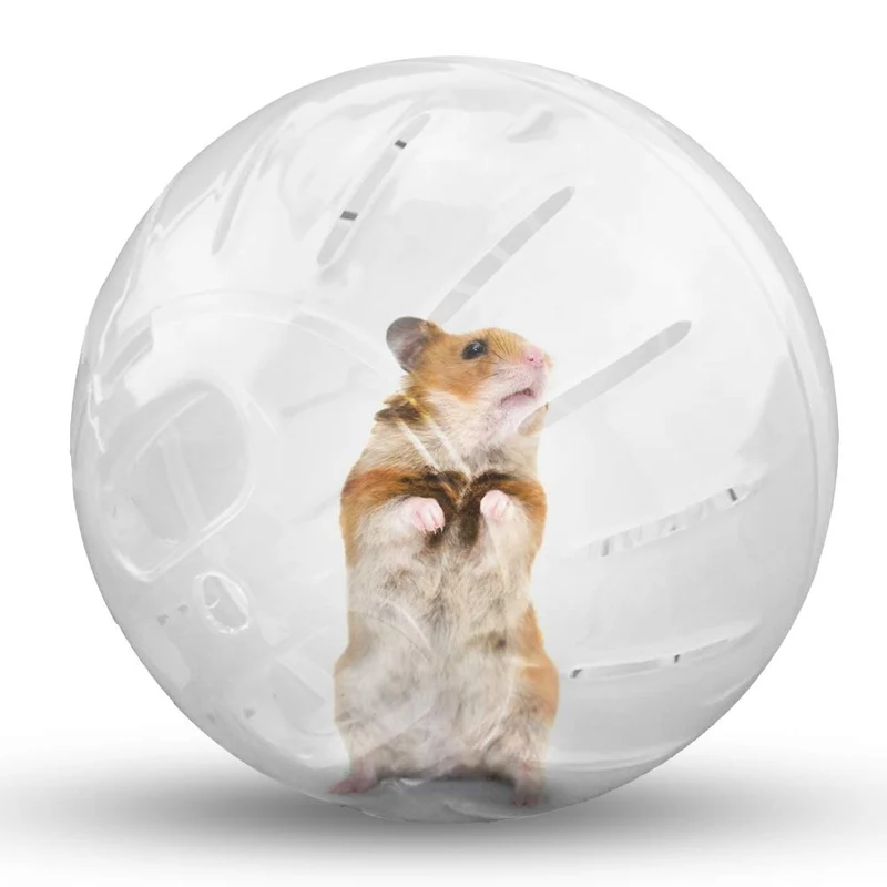 CHUQIANTONG Balle d’exercice pour hamster – Silencieuse, transparente, 4,8 pouces