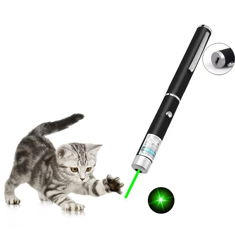 CHUQIANTONG Jouet interactif pour chat — Pointeur lumineux USB rechargeables avec télécommande verte