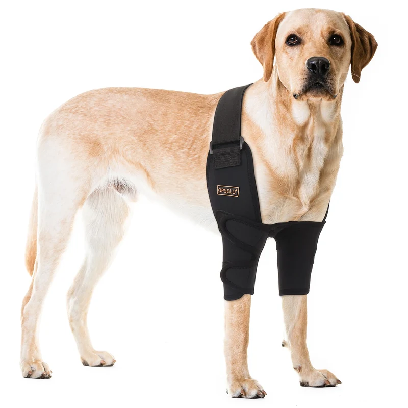 OPSELU Protège-Coude Chien XL – Soutien du Coude, Stabilisation et Confort
