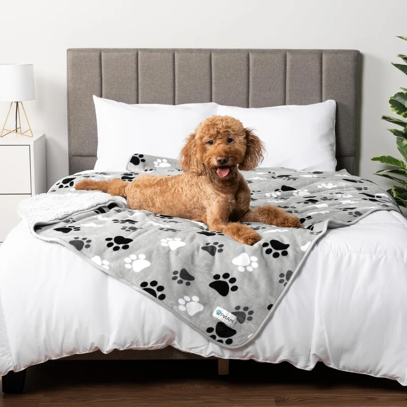 PetAmi Couverture Chien Imperméable 90x90 cm – Réversible, Gris Patte