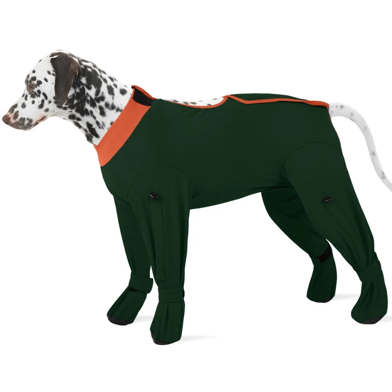 ROZKITCH Vêtement de récupération pour chien 4 pattes XL – Protection complète et alternative ecollar