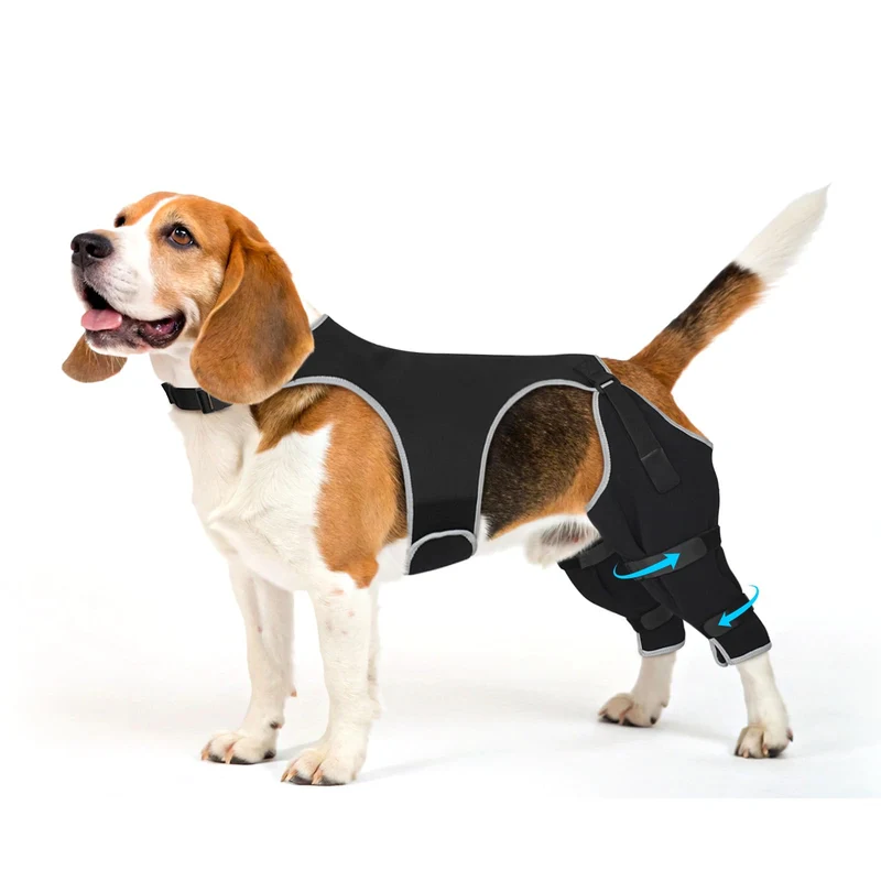 Pawfun Pantalon Patte Arrière Anti-lechage – Protection et Recuperation pour Chien