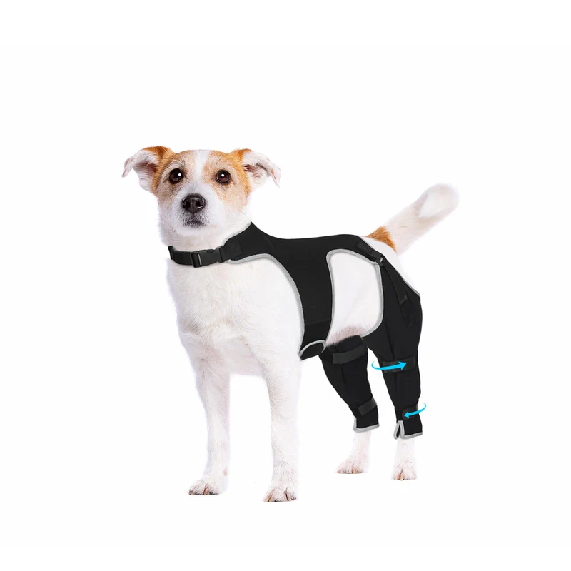 Pawfun — Manchon de jambe arrière pour chien, protection anti-léchage et récupération sans cône