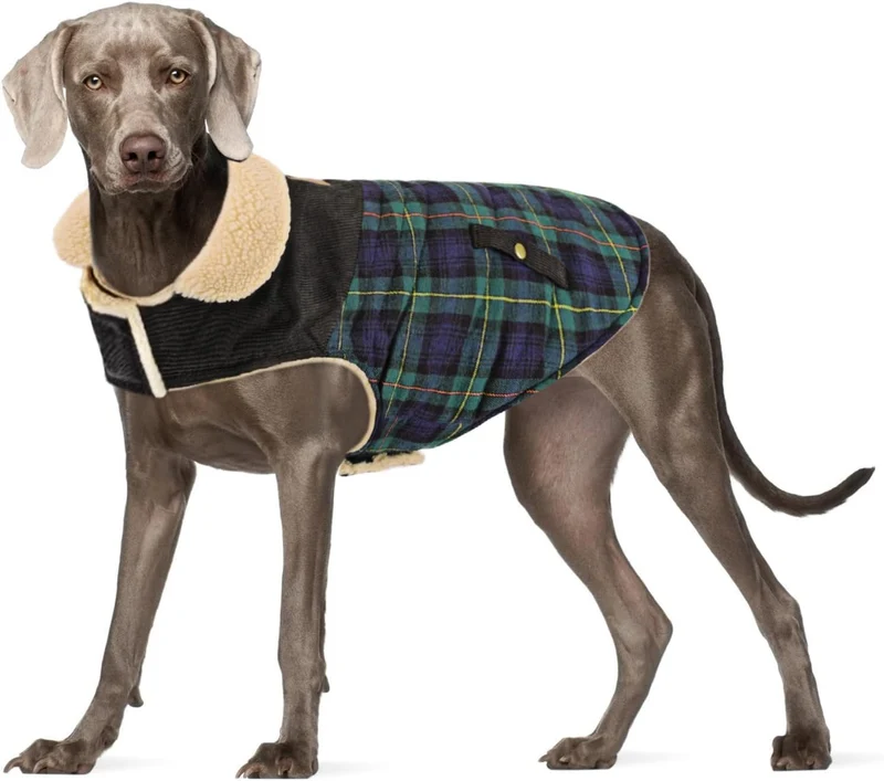 Manteau d'hiver Preferhouse pour chiens petits et moyens – Plaid vert, chaud et anti-vent, taille XL