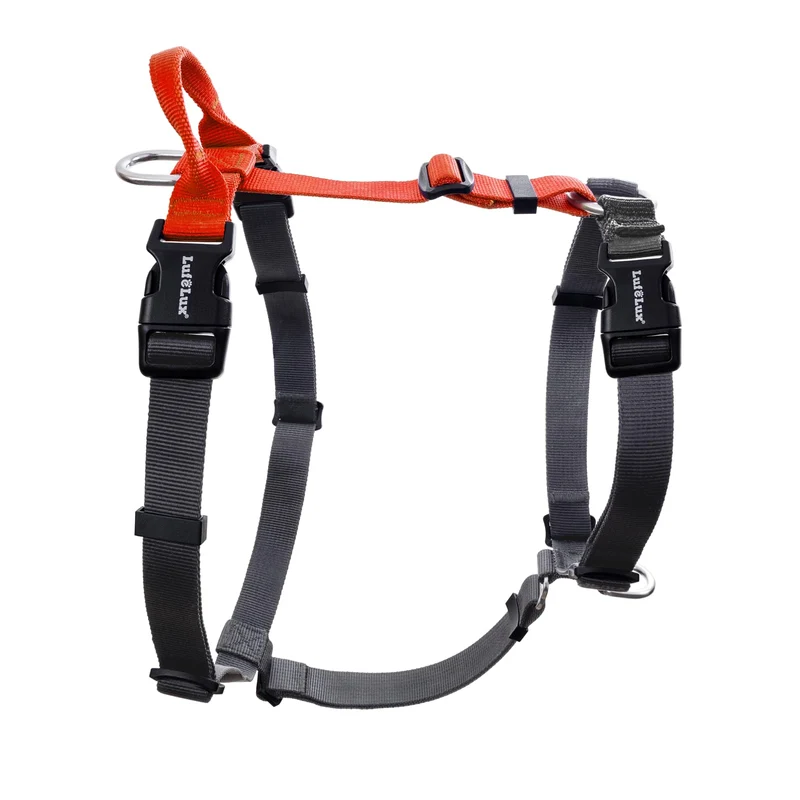 Harnais non restrictif LufeLux pour chien – Marche sans traction, six points d’ajustement, 2 attaches pour laisse (orange et noir, petit)