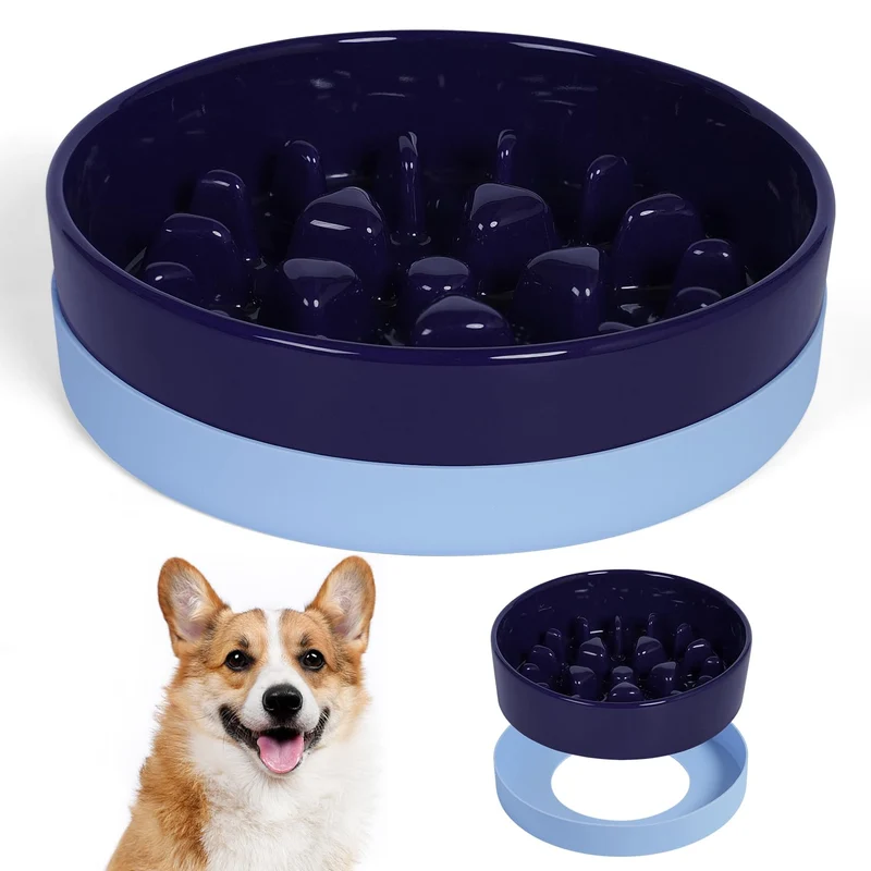 Sted Gamelle Céramique à Alimentation Lente avec Base Silicone – Pour Chiens Petits et Moyens, Bleu Labyrinthe