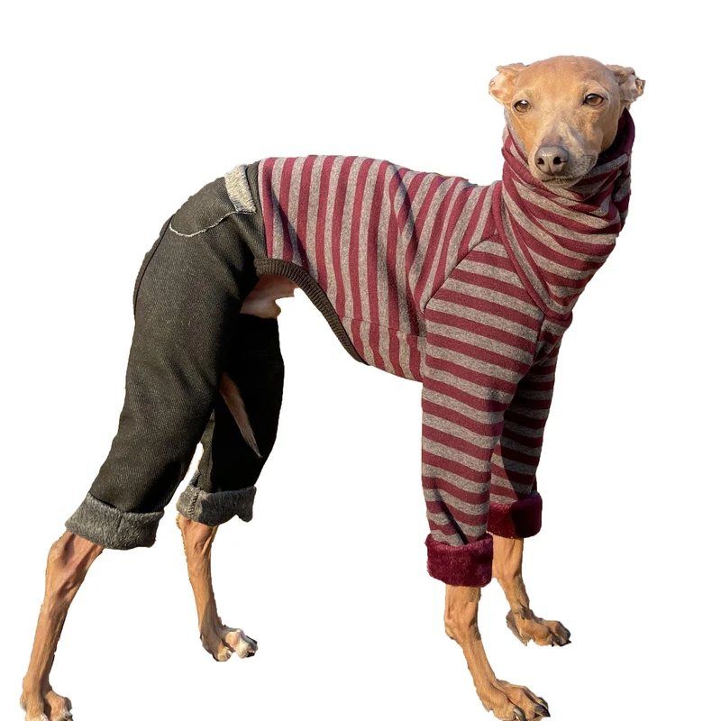 Doggystar Combinaison Denim Bourgogne pour Lévrier Italien et Whippet — Col roulé, Taille XL