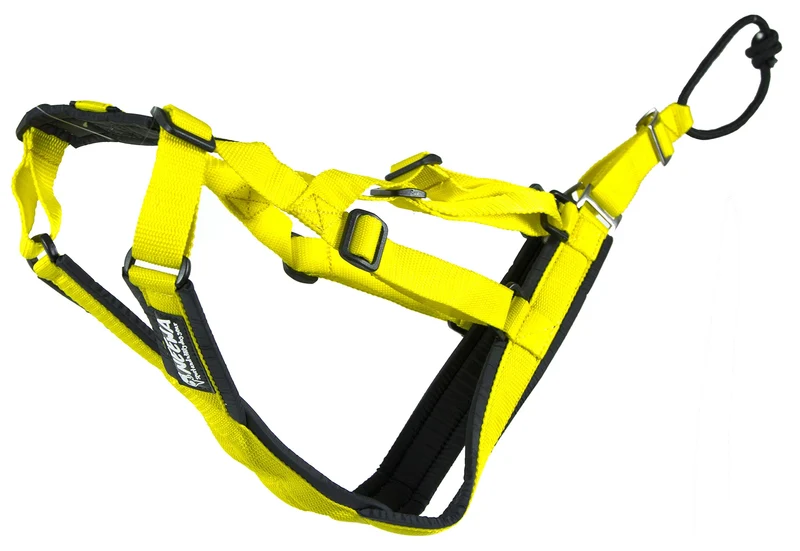 Neewa Harnais Sled Pro Réglable – Taille Petite Jaune pour Grands Chiens | Traîneau et Canicross