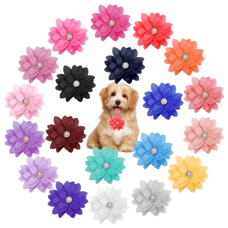 Catcan – 20 Fleurs pour Collier d’Animaux : Accessoires Multicolores avec Perles et Chiffon Doux