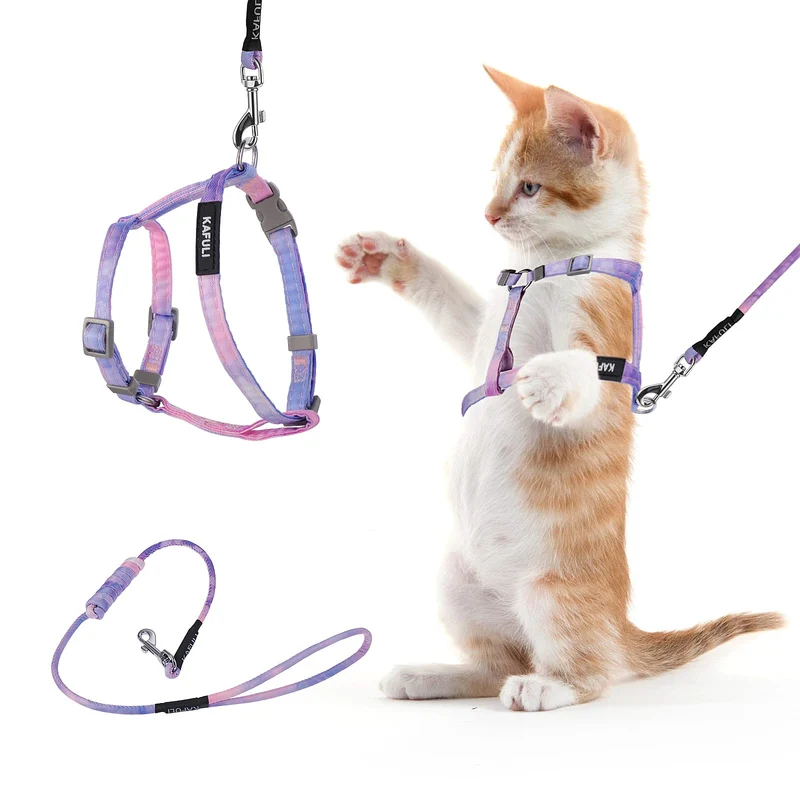 Harnais et longe pour chat TIESOME – Ajustable, anti-évasion, dégradé violet